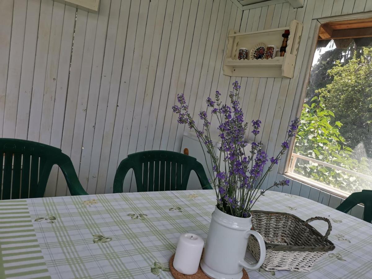 فيلينغراد Guest House Ena المظهر الخارجي الصورة